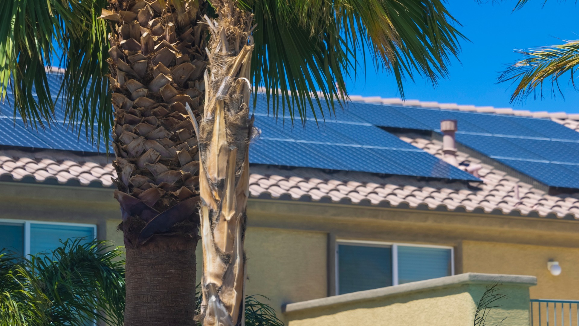 Solar Panel House with Palm Tree in Front